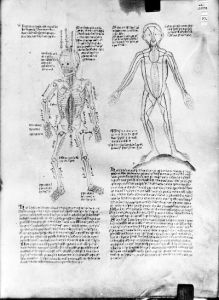 Wellcome Library - MS 49, fol. 37r - 1420 (circa)
