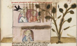 Universitätsbibliothek - Cod.I.2.2.24 (Oettingen-Wallersteinsche Bibliothek), fol. 19r - 1456