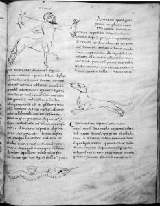 Stiftsbibliothek - 902, fol. 97 - 9th century (second half)