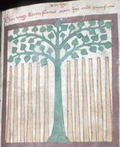 Historisches Archiv - Best. 7020 (W (with asterisk)) 105, fol. 37 - 14th century (second half)