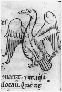 Hyginus p.9v - 12th century