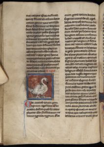 Sidney Sussex College - 100, fol. 22v - 1230 (circa)