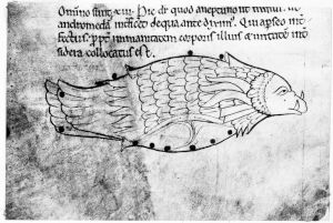 Bodleian Library - Digby 83, fol. 65v - 12th century (third quarter)