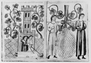 Archivo Capitular - 10.8, fol. 25r - 1320