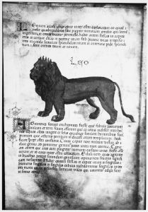 Biblioteca Comunale degli Intronati - L. IV. 25, fol. 7v - 15th century
