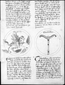 Scot, Michael p.127v - 1436
