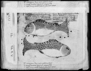 Cicero p.33v - 11th century (early)