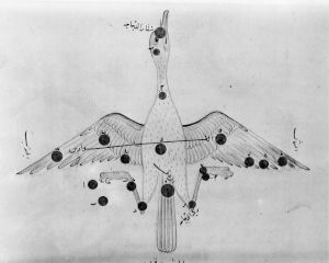al-Sufi p.58r - 1430