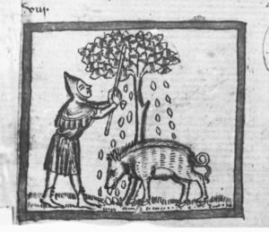 Ermengaud, Matfre p.44r - 15th century