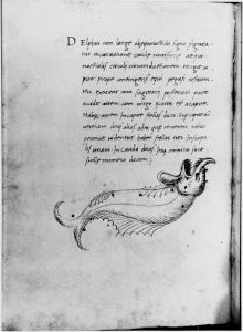 Hyginus p.15v - 15th century