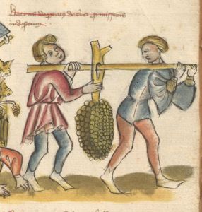 Germanisches Nationalmuseum - Hs. 22401, fol. 25r - 15th century (early)