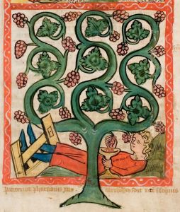 Universitäts- und Landesbibliothek - Hs 2505, fol. 16v - 1360 (circa)