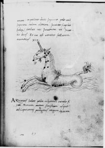 Hyginus p.24r - 15th century