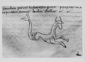 Dombibliothek - 83 II, fol. 163r - 798