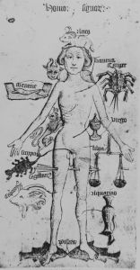 British Museum - Egerton MS 2572, fol. 50v - 15th century (fourth quarter)