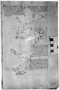 al-Sufi p.12r - 15th century