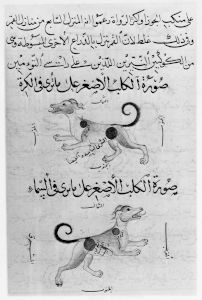 al-Sufi p.209v - 1430