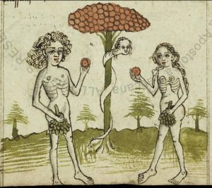 Biblioteca Apostolica Vaticana - Pal. lat. 385, fol. 4r - 1441