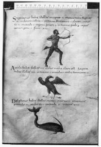 Biblioteca Nacional de España - 3307, fol. 60r - 820 (circa)
