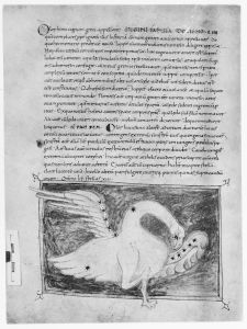 Biblioteca Apostolica Vaticana - Reg. lat. 123, fol. 196v - 1056