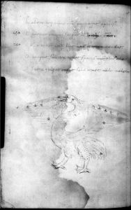 Basinio da Parma (Basinius Parmensis) p.11v - 1464 (circa)