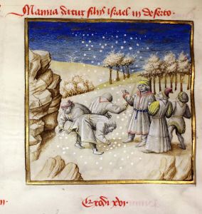 Newberry Library - 40, fol. 16v - 1460 (circa)