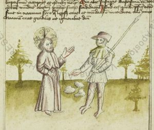 Biblioteca Apostolica Vaticana - Pal. lat. 385, fol. 14r - 1441