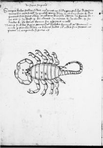 Scot, Michael p.12 - 15th century