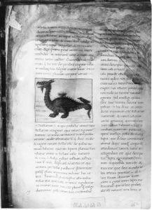 Palmieri, Matteo p.46r - 15th century (second half)