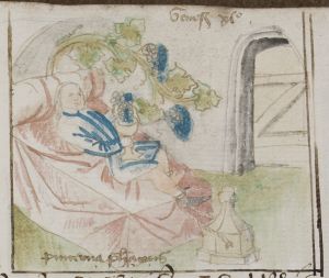 Bibliothèque municipale - 236, fol. 16r - 15th century (late)