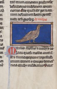 Sidney Sussex College - 100, fol. 16v - 1230 (circa)