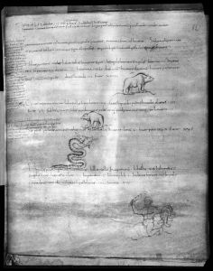 Staatsbibliothek - Phill. 1832, fol. 82r - 873 circa