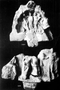 Ancient Roman - 1st century BC