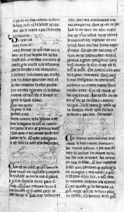 Richard de Fournival p.73r - 14th century (first half)
