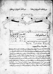 al-Sufi - 1224