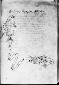 al-Sufi p.104v - 1130