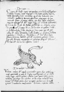 Scot, Michael p.35 - 15th century