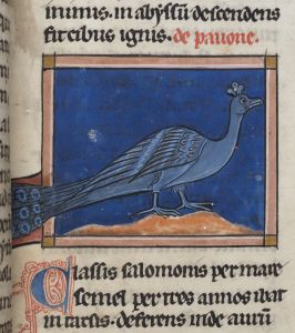 Sidney Sussex College - 100, fol. 23r - 1230 (circa)