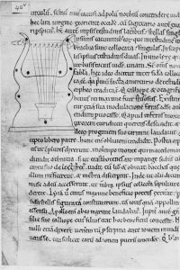 Bodleian Library - Digby 83, fol. 45v - 12th century (third quarter)