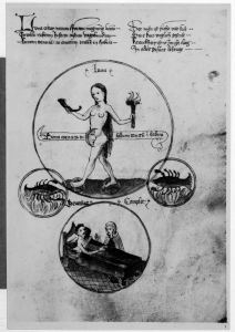Universitätsbibliothek - M III 36 (olim. V. 1. B. 36/8), fol. 239r - 15th century (second quarter)
