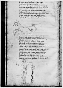 Basinio da Parma (Basinius Parmensis) p.11v - 15th century (second half)