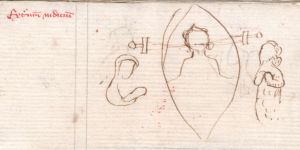 Stiftsbibliothek - 114, fol. 64v - 1380 (circa)
