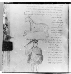 Hyginus p.46v - 15th century