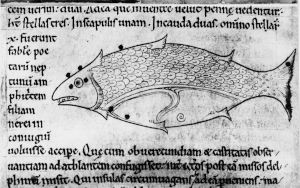 Bodleian Library - Digby 83, fol. 51v - 12th century (third quarter)
