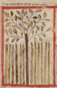 Biblioteca Apostolica Vaticana - Reg. lat. 99, fol. 11r - 1428