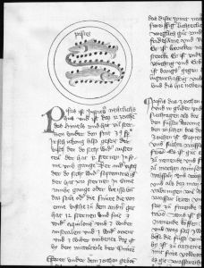 Scot, Michael p.116v - 1436