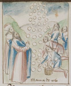 Bibliothèque municipale - 236, fol. 32r - 15th century (late)