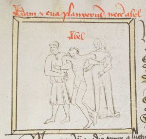 Universitätsbibliothek - Cod. Haen. 3506, fol. 85v - 1436