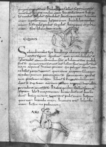 Sächsische Landesbibliothek - Dc 183, fol. 19v - 9th century (second half)