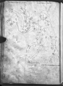 al-Sufi p.134v - 14th century